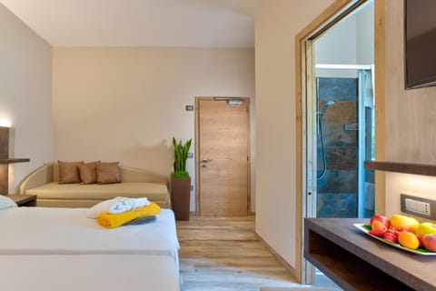 Shower, Bathroom, TV and multimedia, Photo of the whole room, Bedroom, Garden view, Mountain view