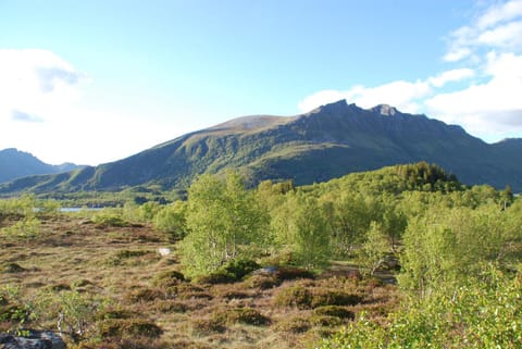 Haugteig Nature lodge in Lofoten