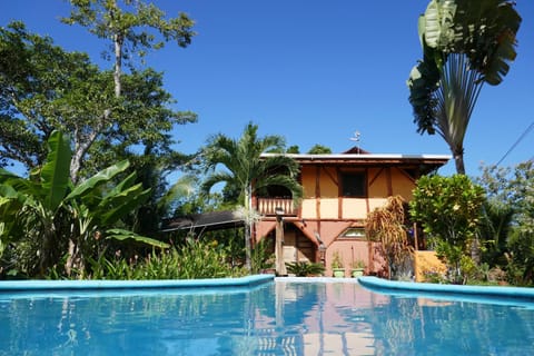 Property building, Garden, Garden view, Swimming pool