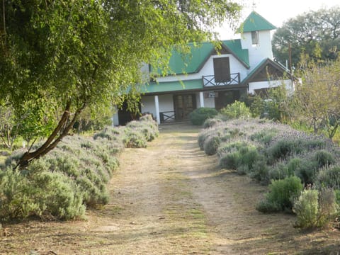 Finca La Julia Farm Stay in San Luis Province, Argentina