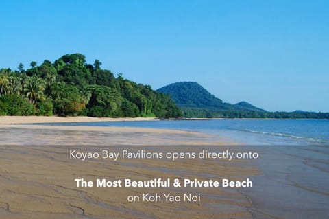 Beach, On site, Sea view