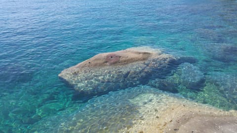Nearby landmark, Natural landscape