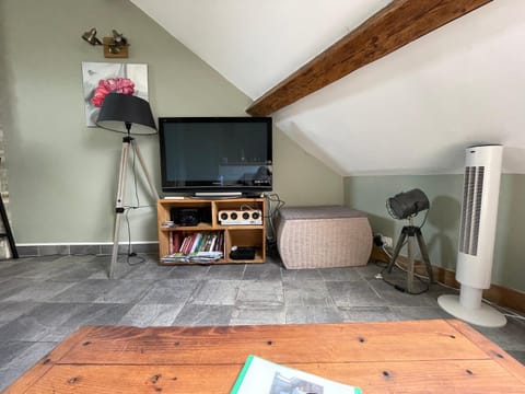 Communal lounge/ TV room, TV and multimedia