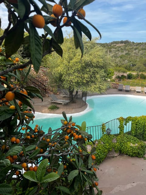 Spring, Day, Natural landscape, Garden, Garden view, Mountain view, Swimming pool