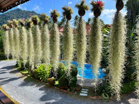 Amy Village Garden Resort Resort in Ko Samui