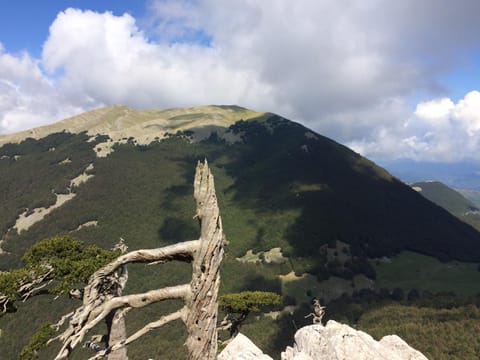 Casa Vacanze del Pollino House in Basilicata