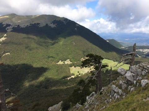 Casa Vacanze del Pollino House in Basilicata