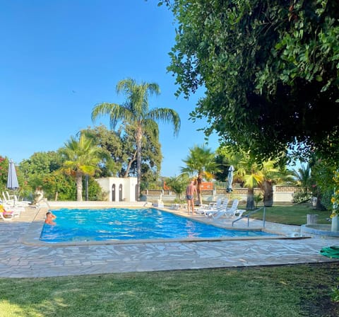 Garden, Pool view, Swimming pool, sunbed