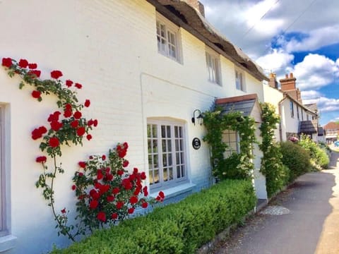 The Cottage Studio Bed and Breakfast in Wool