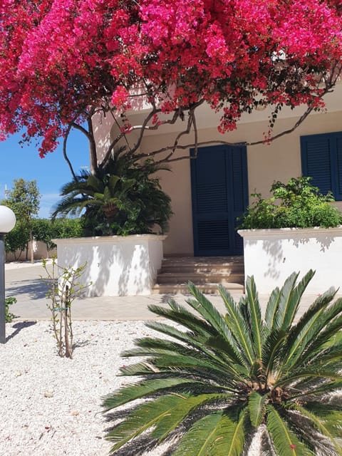 Villa A'mare House in Apulia