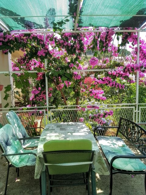 Garden, Balcony/Terrace, Seating area, Garden view