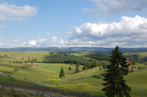 Cabana Moţilor Pensão in Cluj County