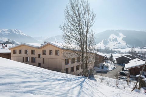 Gstaad Saanenland Youth Hostel Hostel in Saanen