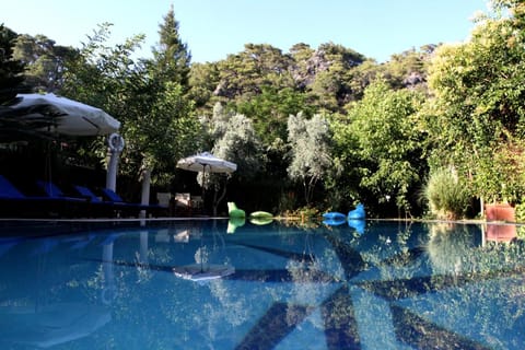 Garden, Swimming pool