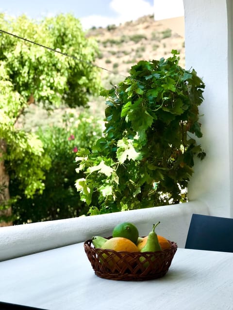 Balcony/Terrace, Garden view