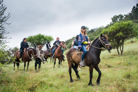 Activities, Horse-riding