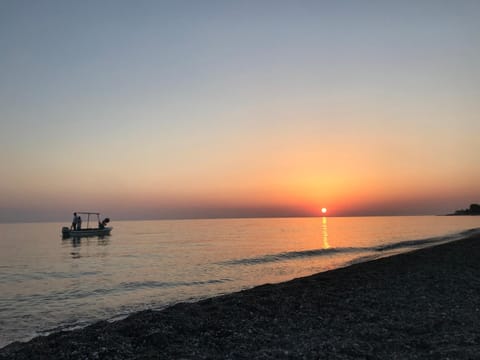 Natural landscape, Beach, Sunset