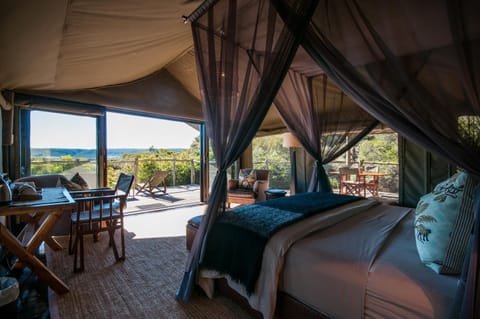HillsNek Safari Camp – Amakhala Game Reserve Albergue natural in Eastern Cape