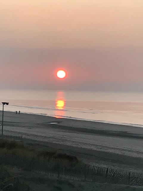 Schelvis Apartments Eigentumswohnung in Zandvoort