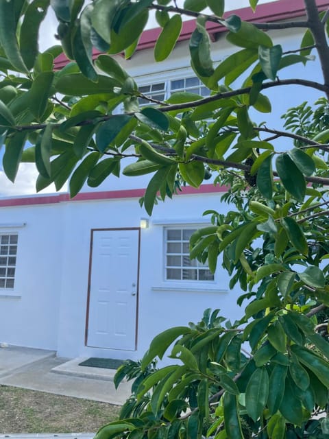 The Villas of John St. Rose Casa vacanze in St. Croix