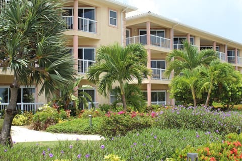 Property building, Day, Natural landscape, Garden, Garden view