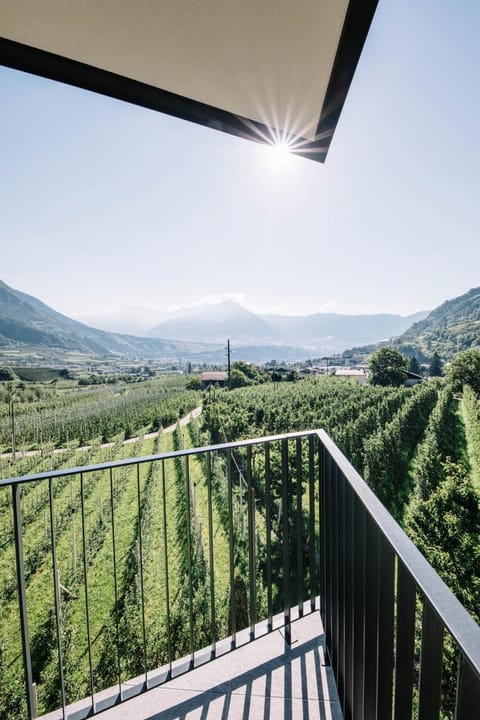 Balcony/Terrace, Mountain view
