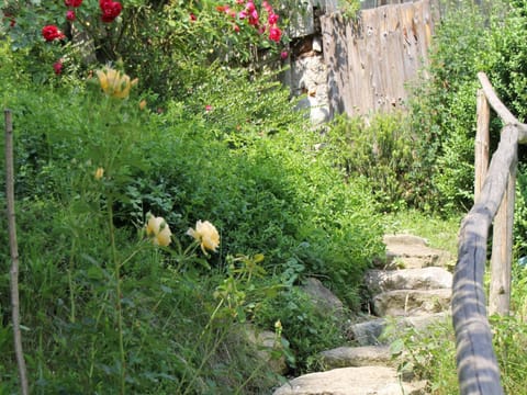 Jaklhof Farm Stay in Aschau im Chiemgau