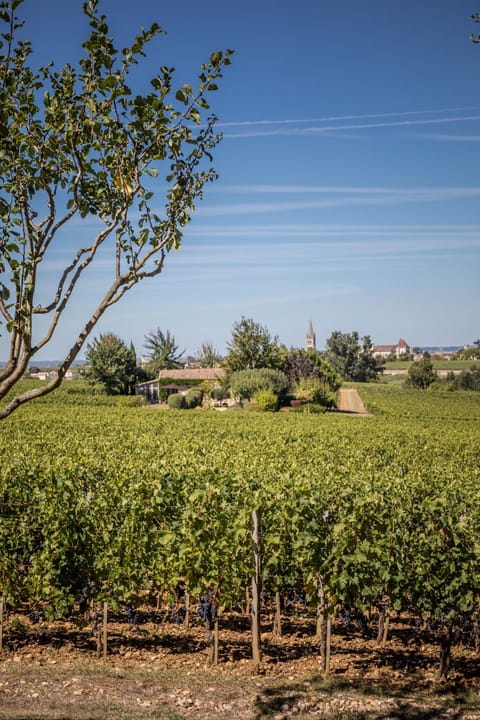 Les Clefs de Troplong Mondot Bed and Breakfast in Saint-Émilion