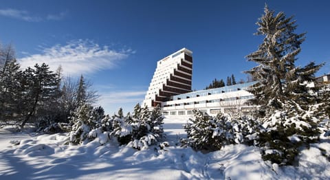 Property building, Winter