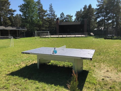 Activities, Table tennis