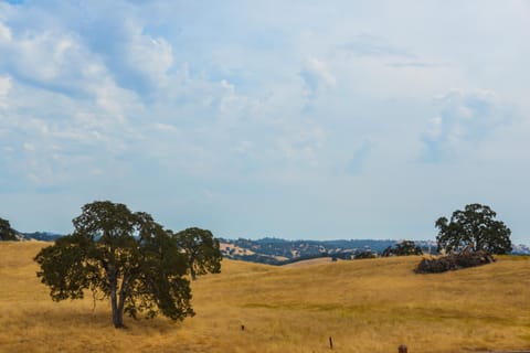 Oak Ridge Inn Hotel in Plymouth