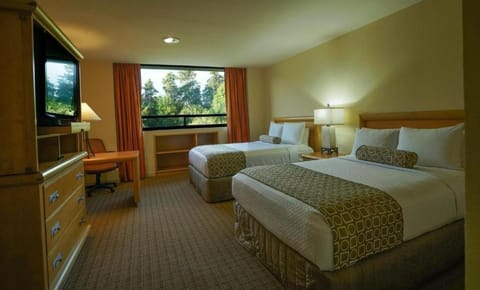 Photo of the whole room, Decorative detail