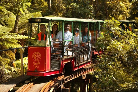 Tasman Holiday Parks - Coromandel Terrain de camping /
station de camping-car in Coromandel