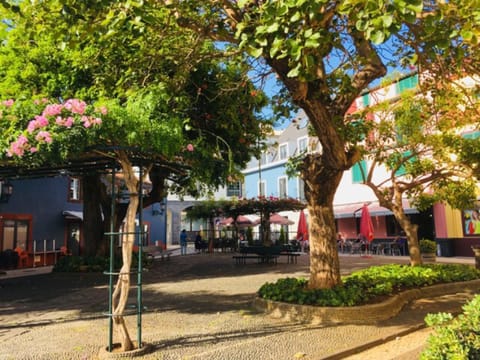 TRIPLEX TERRASSE VUE EXCLUSIVE SUR L OCÉAN ,WIFI Condo in Madeira District