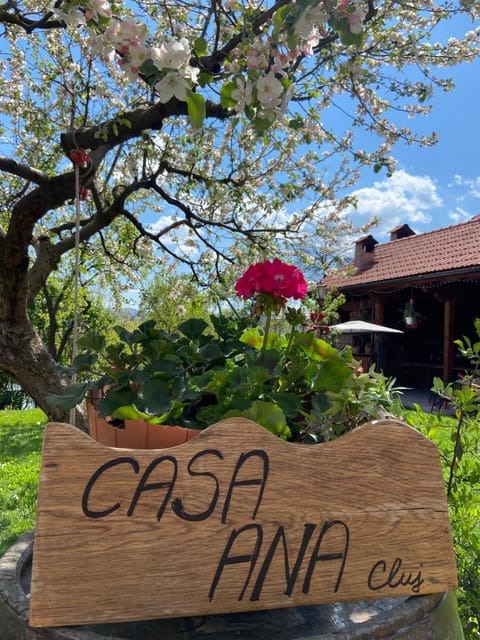 Casa Ana Cluj Vacation rental in Cluj-Napoca