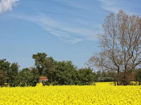 Natural landscape, Garden