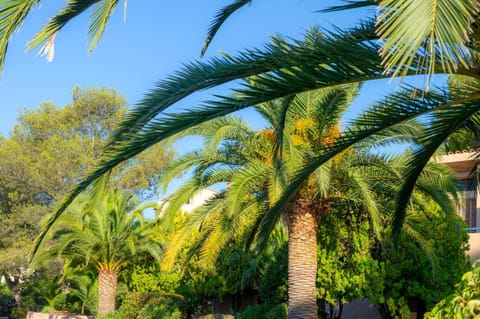 Résidence Goélia Les Jardins d'Azur Apartment hotel in Saint-Raphael