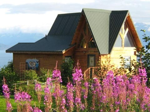 Alaska Adventure Cabins Natur-Lodge in Homer