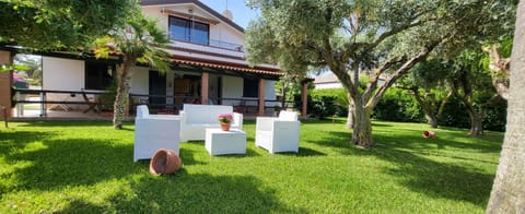 Property building, Garden, Garden view, Inner courtyard view