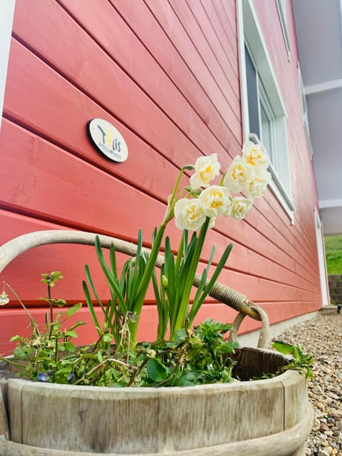 Hedwig meine Perle Apartment in Schleswig-Holstein