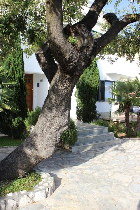 Property building, Spring, Day, Garden, Garden view