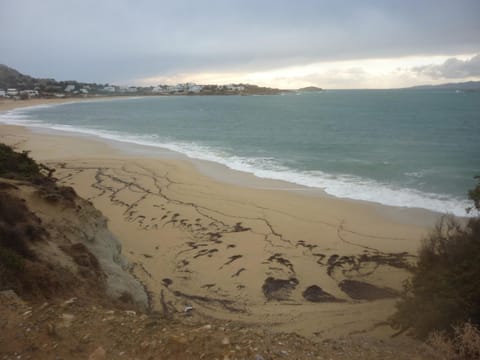 Natural landscape, Beach, Windsurfing