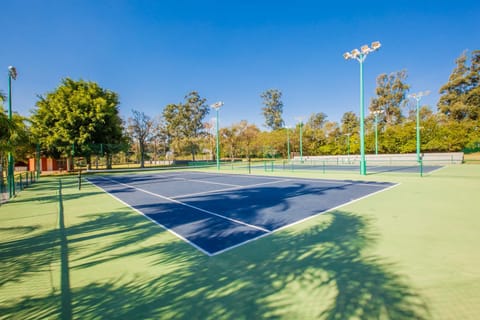 Day, Activities, Tennis court, Autumn, Entertainment