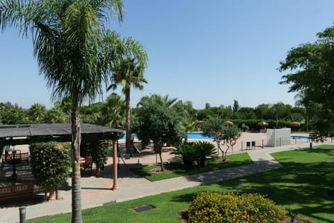 Patio, Garden, Garden view