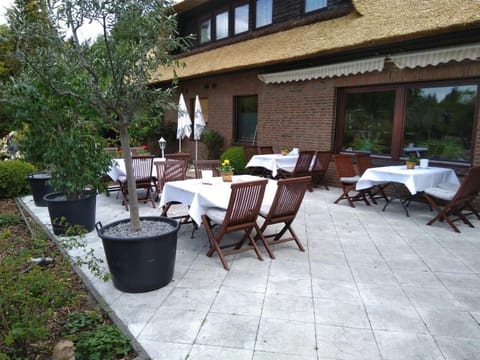 Balcony/Terrace, Garden view