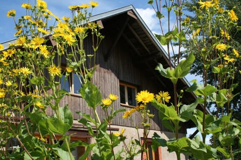 Notre Cachette Bed and Breakfast in Vosges