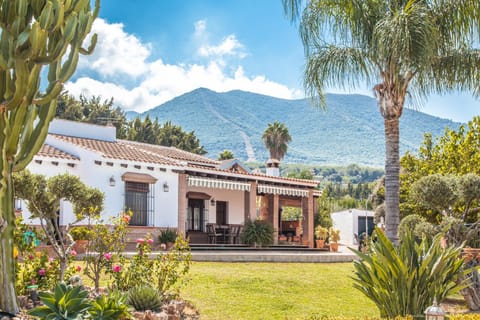 Patio, Garden, Garden view