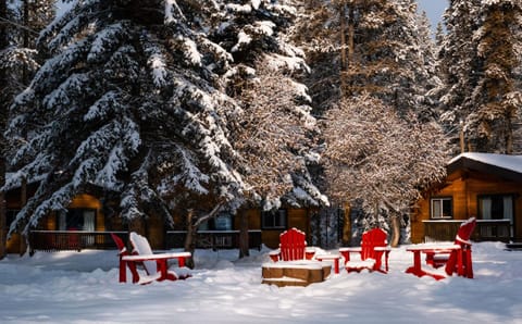 Property building, Day, Natural landscape, Winter