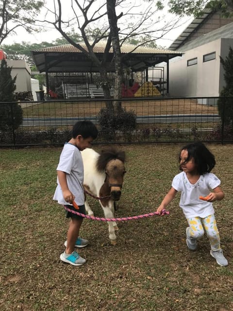 APM Equestrian Resort Resort in West Java