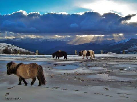 Natural landscape